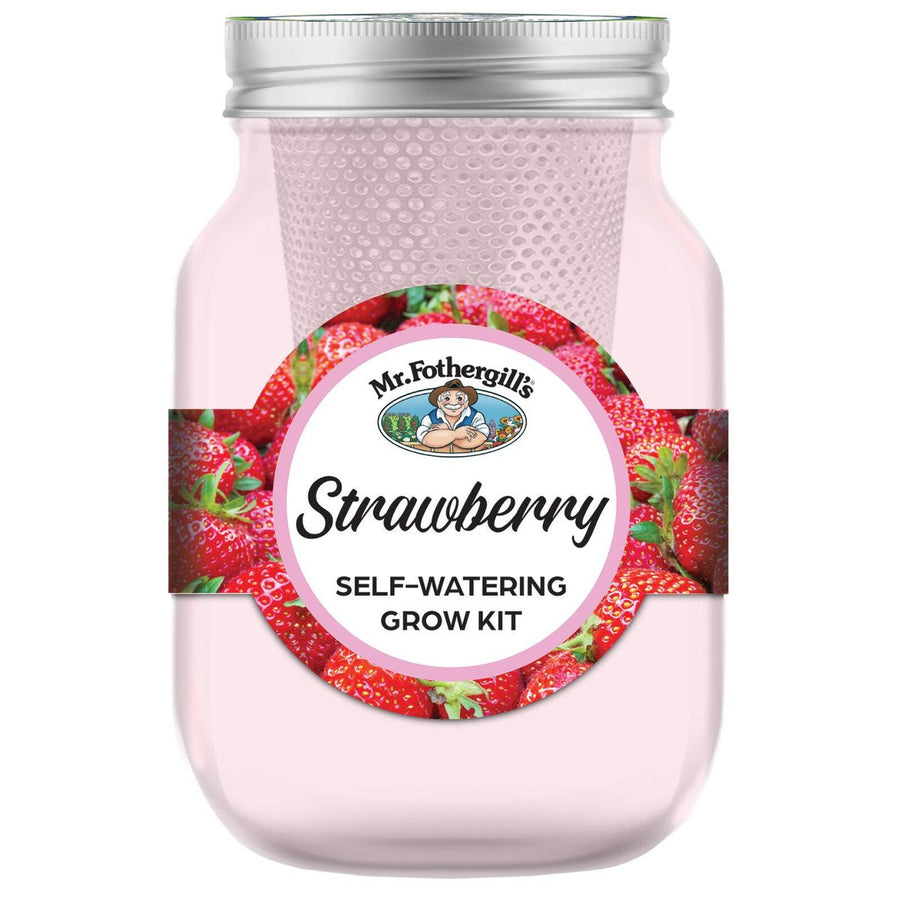 Mr Fothergill's Self Watering Mason Jars Grow Kit Strawberry - 90mm x 172mm - Pink - Easy Maintenance - SuperSaverAU - view 1