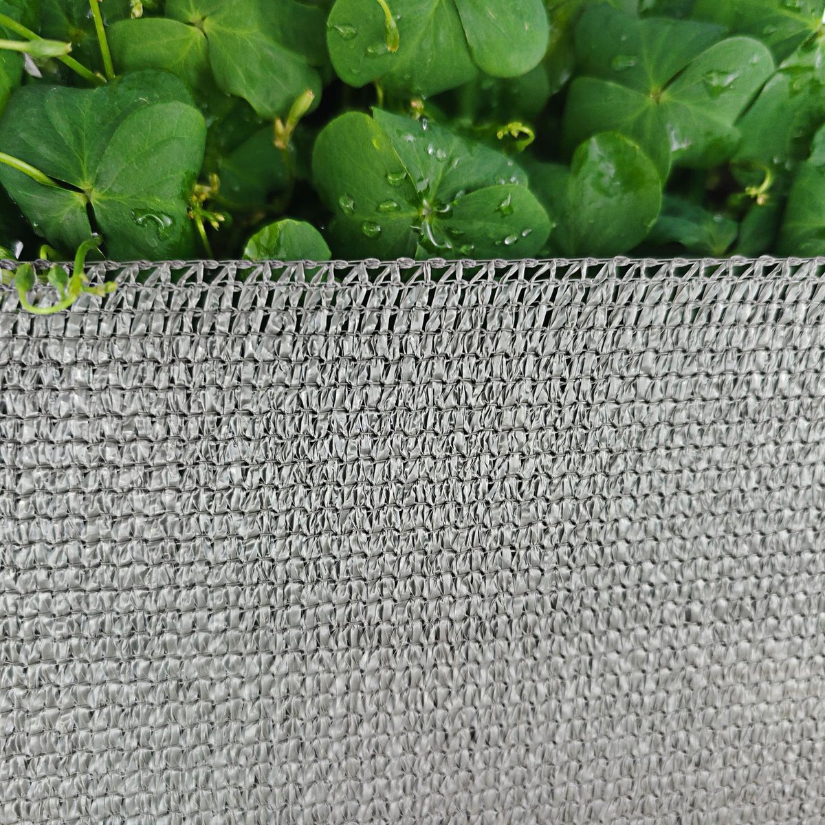 Pillar 1 Shade Cloth - 83 x 5m - Woodland Grey - HDPE - 90% UV Protection - SuperSaverAU - view 3