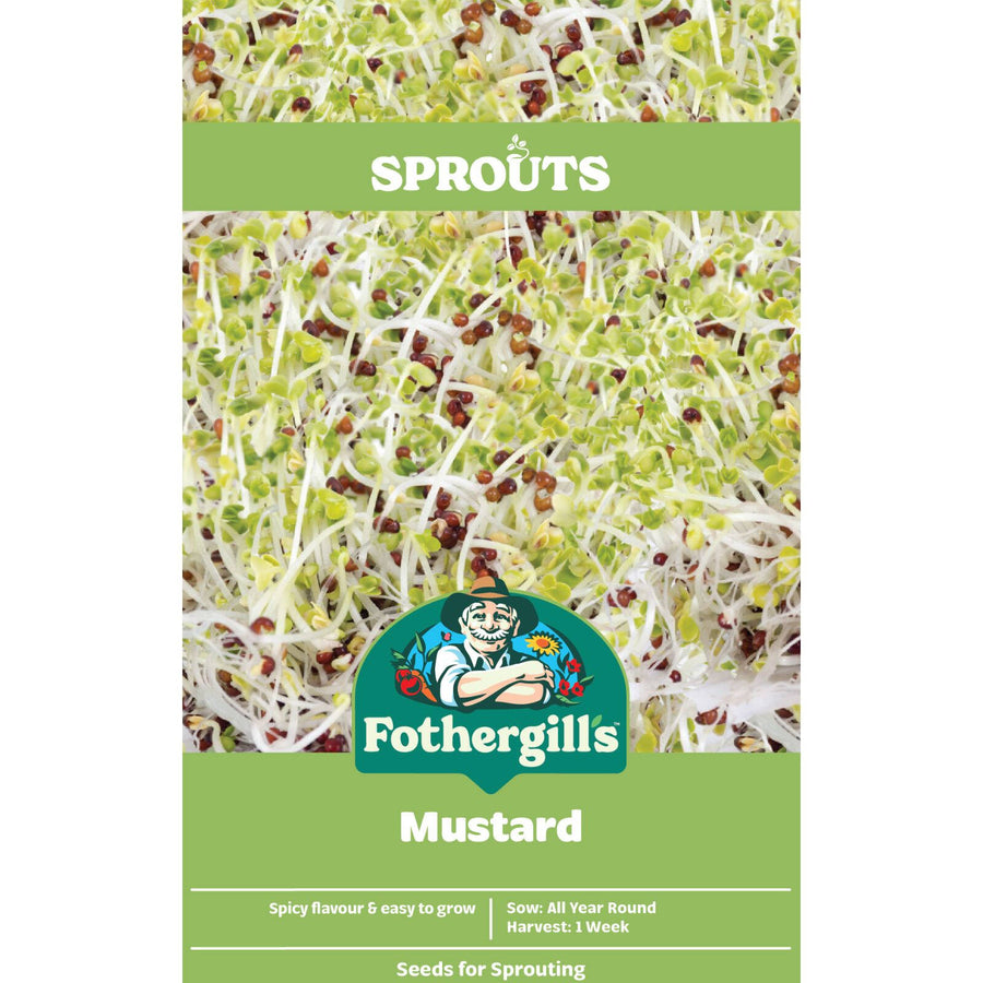 Mr Fothergill's Sprouts Alive Mustard Seeds