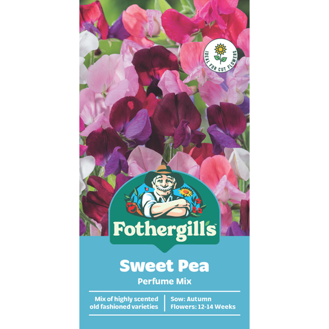 Mr Fothergill's Sweet Pea Perfume Mix Flower Seeds - Fragrant Climbing Variety, 180cm