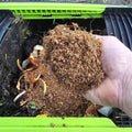 Maze Microbe Infused Compost Additive - 2L - Organic Waste Accelerator - SuperSaverAU - view 3