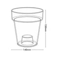 Eden 14cm Clear Round Orchid Planter - Polypropylene