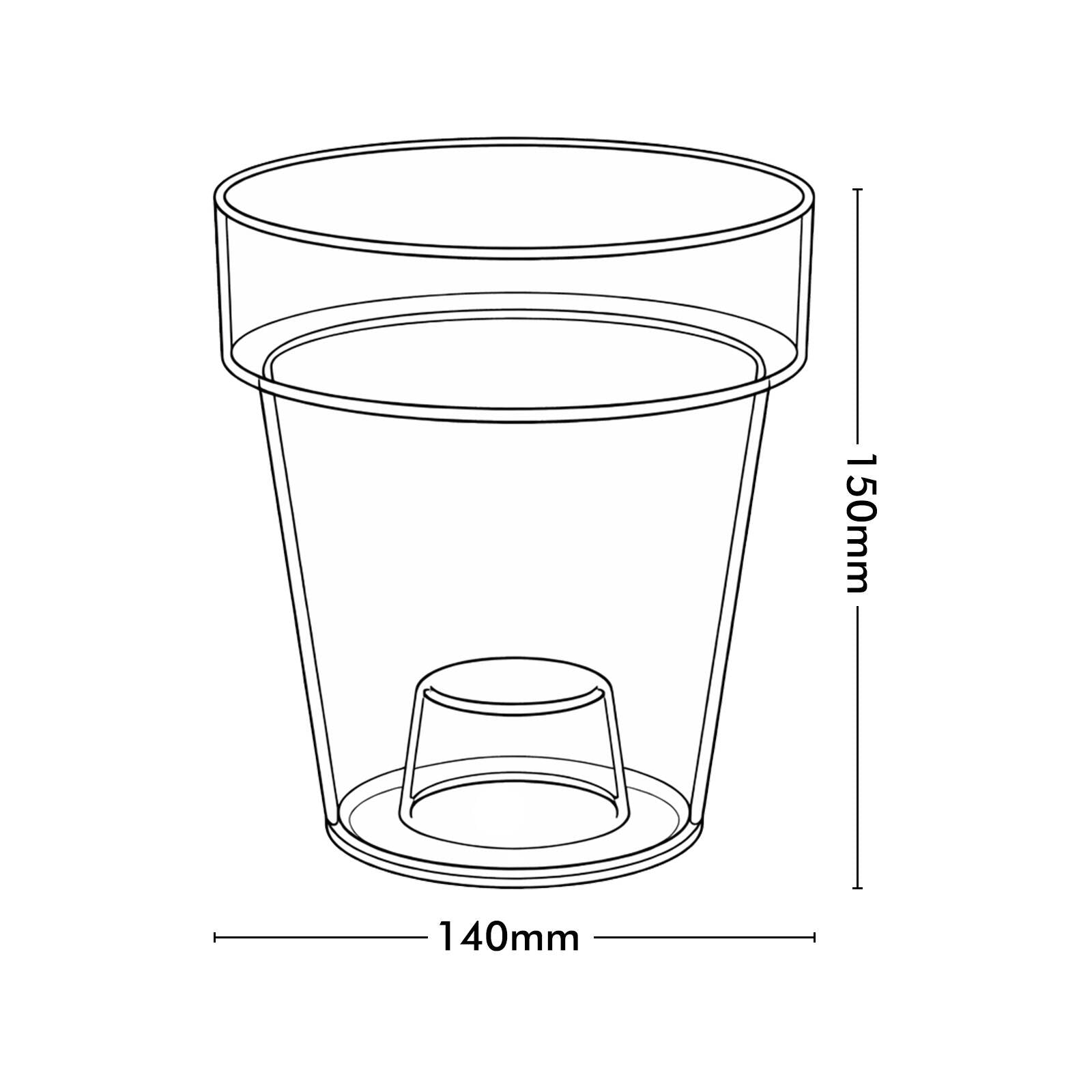 Eden 14cm Clear Round Orchid Planter - Polypropylene
