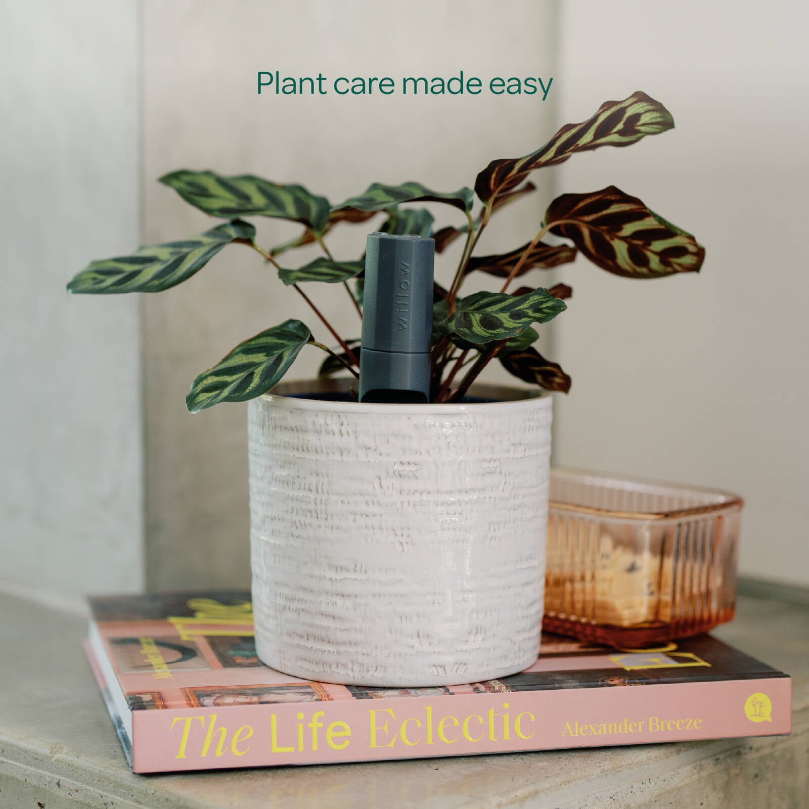 Willow Smart Indoor Plant Sensor Plant Parent Pack Charcoal