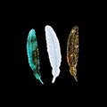Feather Silicone Mould for Epoxy Resin Casting - 161 x 36 mm - view 4