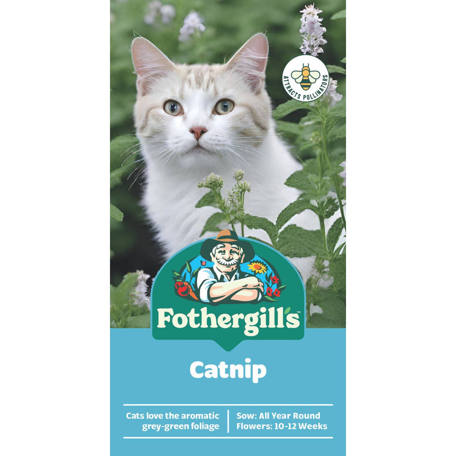 Mr Fothergill's Catnip Seeds