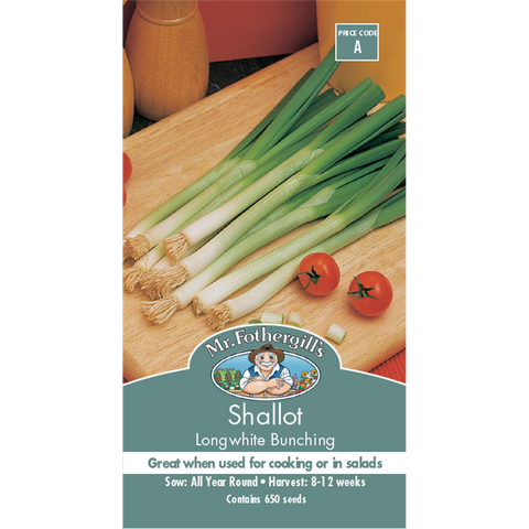 Mr Fothergill Longwhite Bunching Shallot Seeds 75mm Green Versatile - SuperSaverAU - view 1