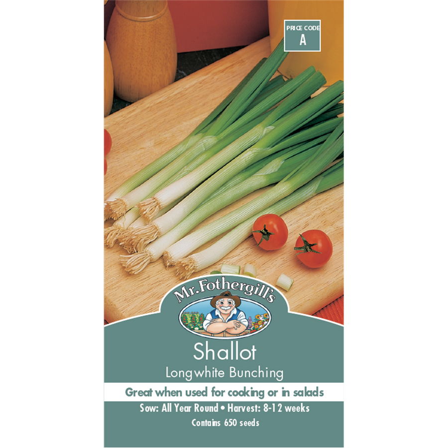 Mr Fothergill Longwhite Bunching Shallot Seeds 75mm Green Versatile - SuperSaverAU - view 1