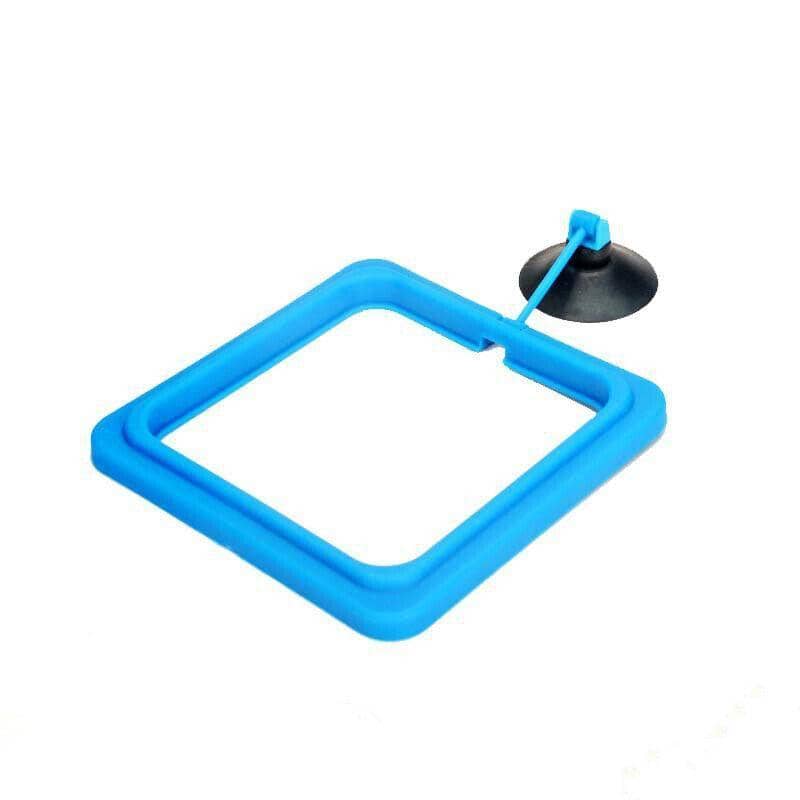 Fish Feeding Ring with Suction Cup - Blue Circle, 7.5 cm Diameter