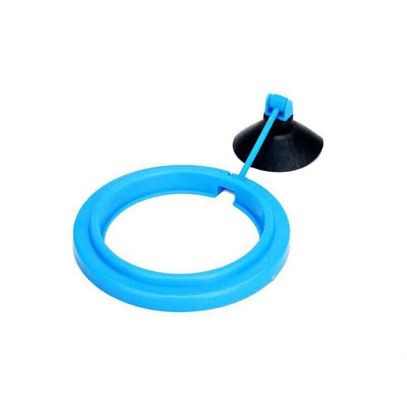 Fish Feeding Ring with Suction Cup - Blue Circle, 7.5 cm Diameter - view 2