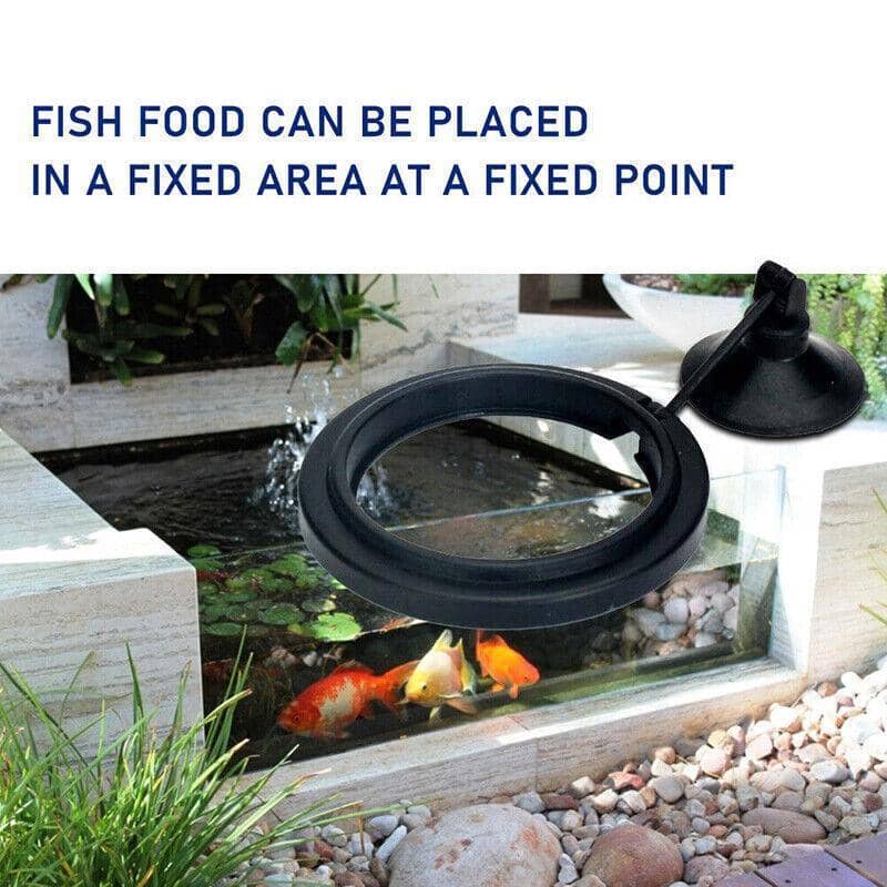 Fish Feeding Ring with Suction Cup - Blue Circle, 7.5 cm Diameter - view 5