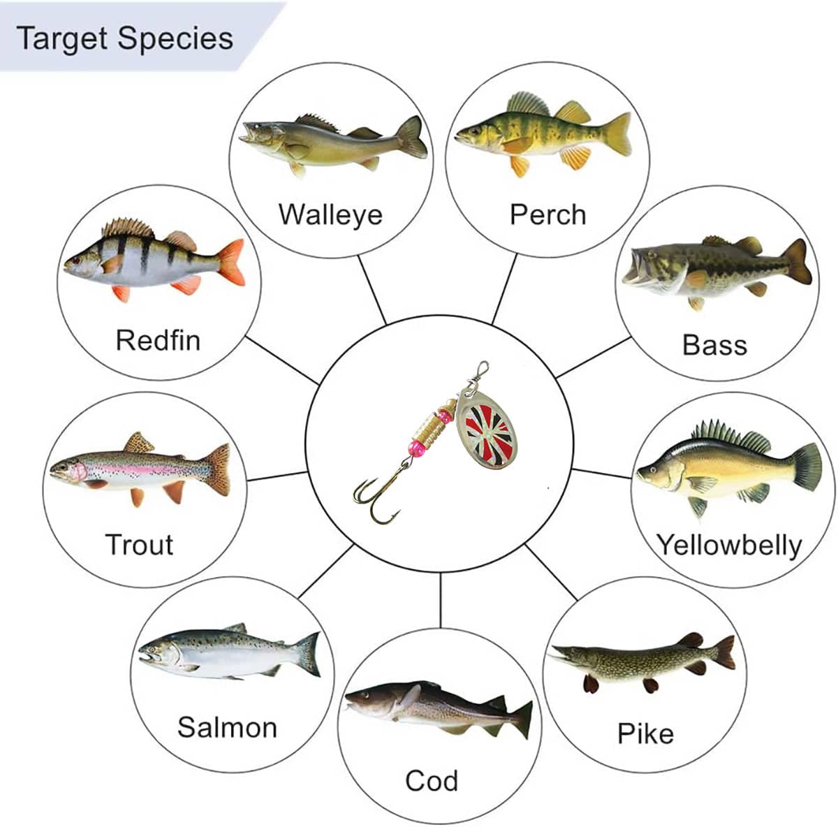 Fishing Spinner Lure Set with Feather Treble Hooks and Tackle Box - Pack of 10 - view 5