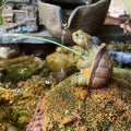 Fishing Turtle Ornament for Garden and Patio - 6.2 x 5.6 x 5cm Resin - view 4