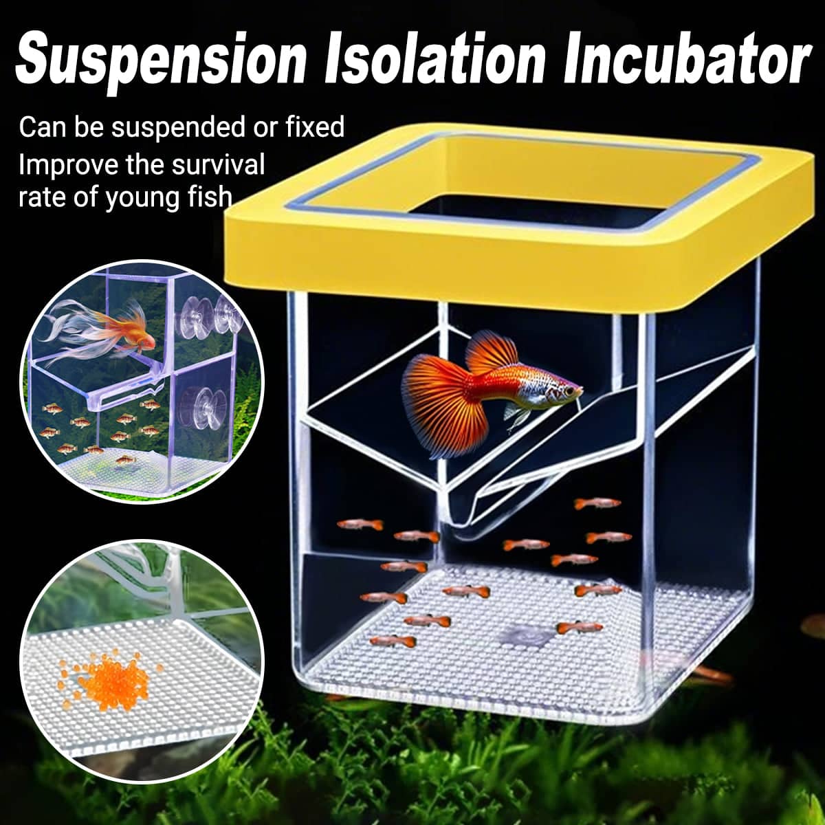 Floating Fish Breeding Box Isolation Incubator for Aquarium