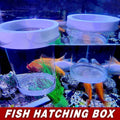 Floating Fish Breeding Isolation Box for Fry and Shrimp, Medium and Small