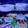 Floating Fish Breeding Isolation Box for Fry and Shrimp, Medium and Small - view 4