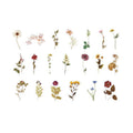 Flower Scrapbooking Stickers, PET Transparent - Pack of 40, Pressed Dried Flowers