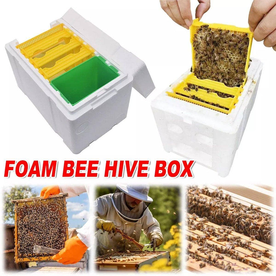 Foam Beekeeping Breeder Box for Queen Rearing and Pollination, with Internal Frames