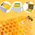 Foam Beekeeping Breeder Box for Queen Rearing and Pollination, with Internal Frames - view 4