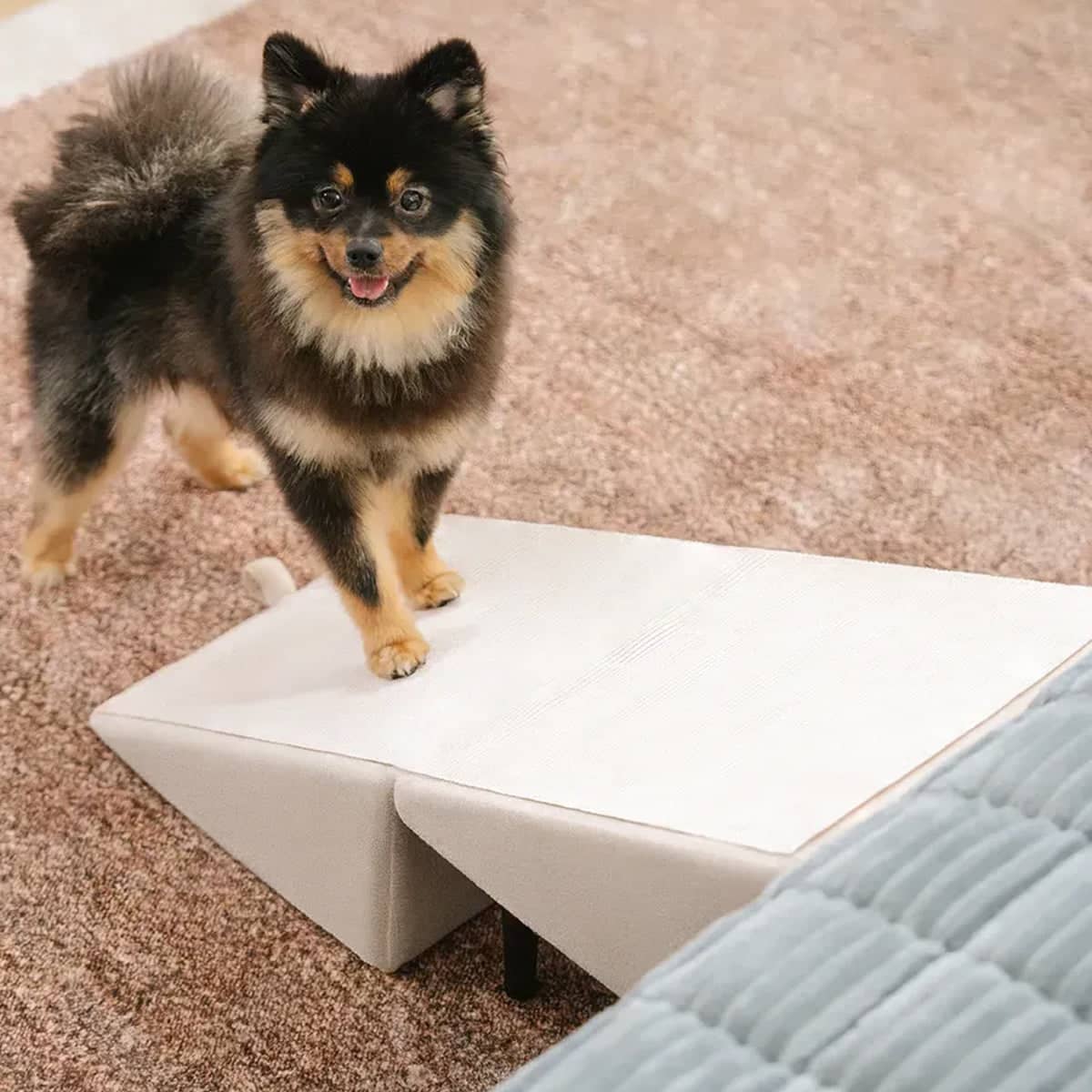 Foldable Pet Ramp Stairs for Cats and Dogs with Non Slip Fabric Cover - view 4