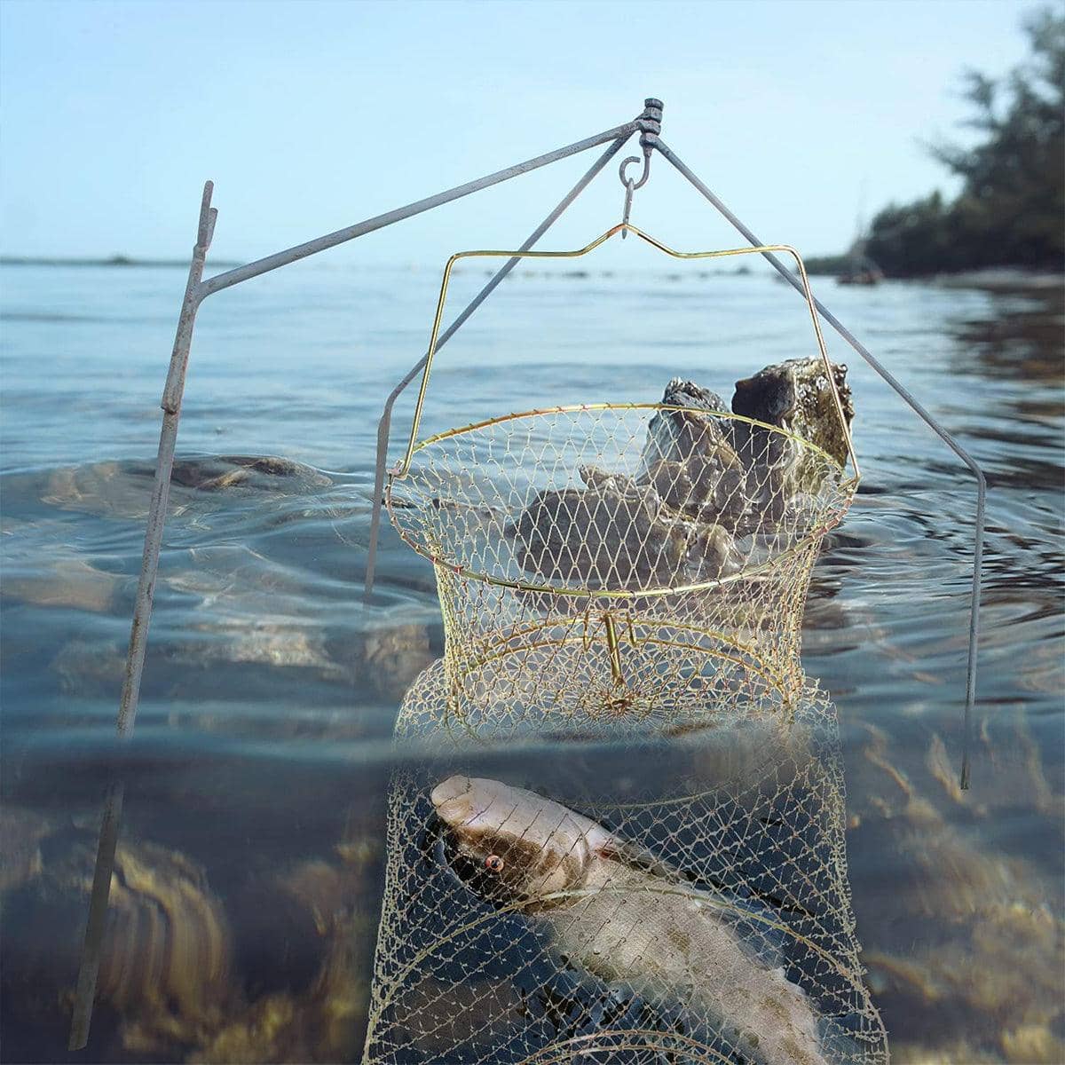 Folding Fish Trap Mesh Cage - 25cm x 33cm - view 5