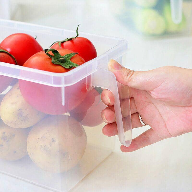Fridge Storage Containers with Lids and Handles, Pack of 4 (29 x 15 x 16 cm) - view 5