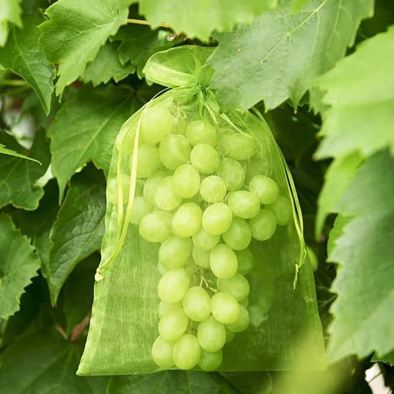 Fruit Protection Net Bags with Drawstring - 20 x 30cm, 50 Pack - view 10