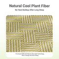 Fruit Shaped Breathable Pet Bed Mat with Raised Edges for Dogs and Cats - Size L (65 x 50 cm) - view 4