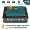 Fully Automatic 25 Egg Incubator with Temperature Display for Hen, Duck and Quail Eggs