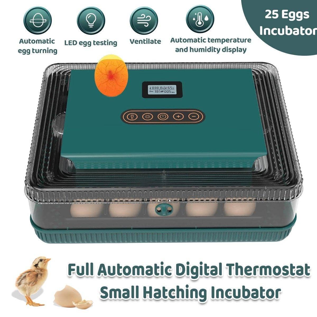 Fully Automatic 25 Egg Incubator with Temperature Display for Hen, Duck and Quail Eggs