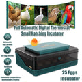 Fully Automatic 25 Egg Incubator with Temperature Display for Hen, Duck and Quail Eggs - view 3