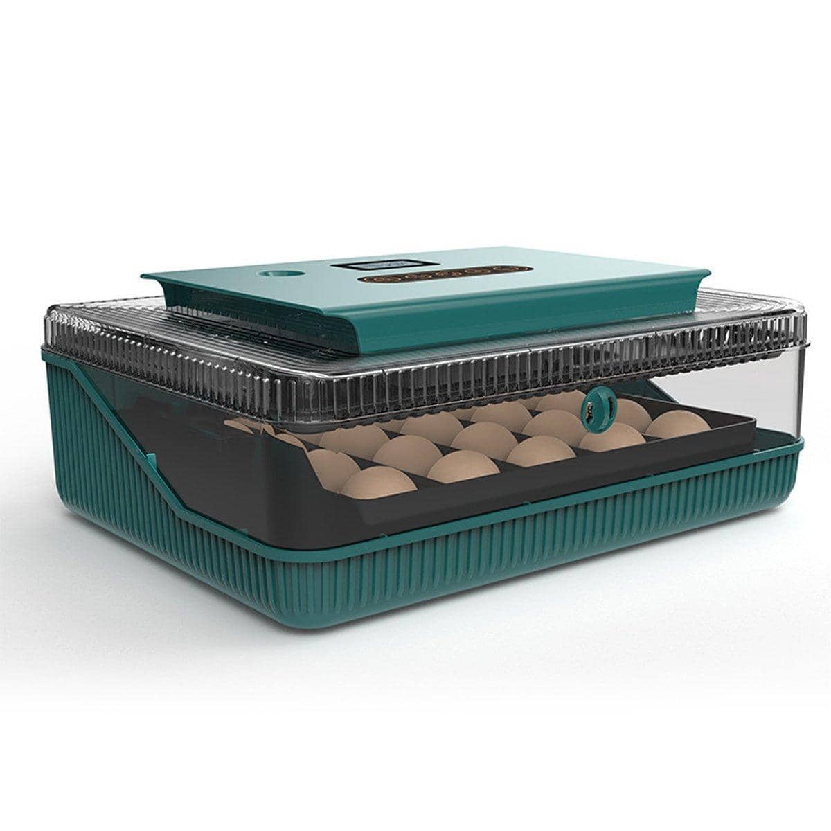 Fully Automatic 25 Egg Incubator with Temperature Display for Hen, Duck and Quail Eggs - view 5