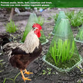 Garden Plant Cloche Seedling Cover, Set of 26 Reusable Green Plastic Anti-Pest - view 4