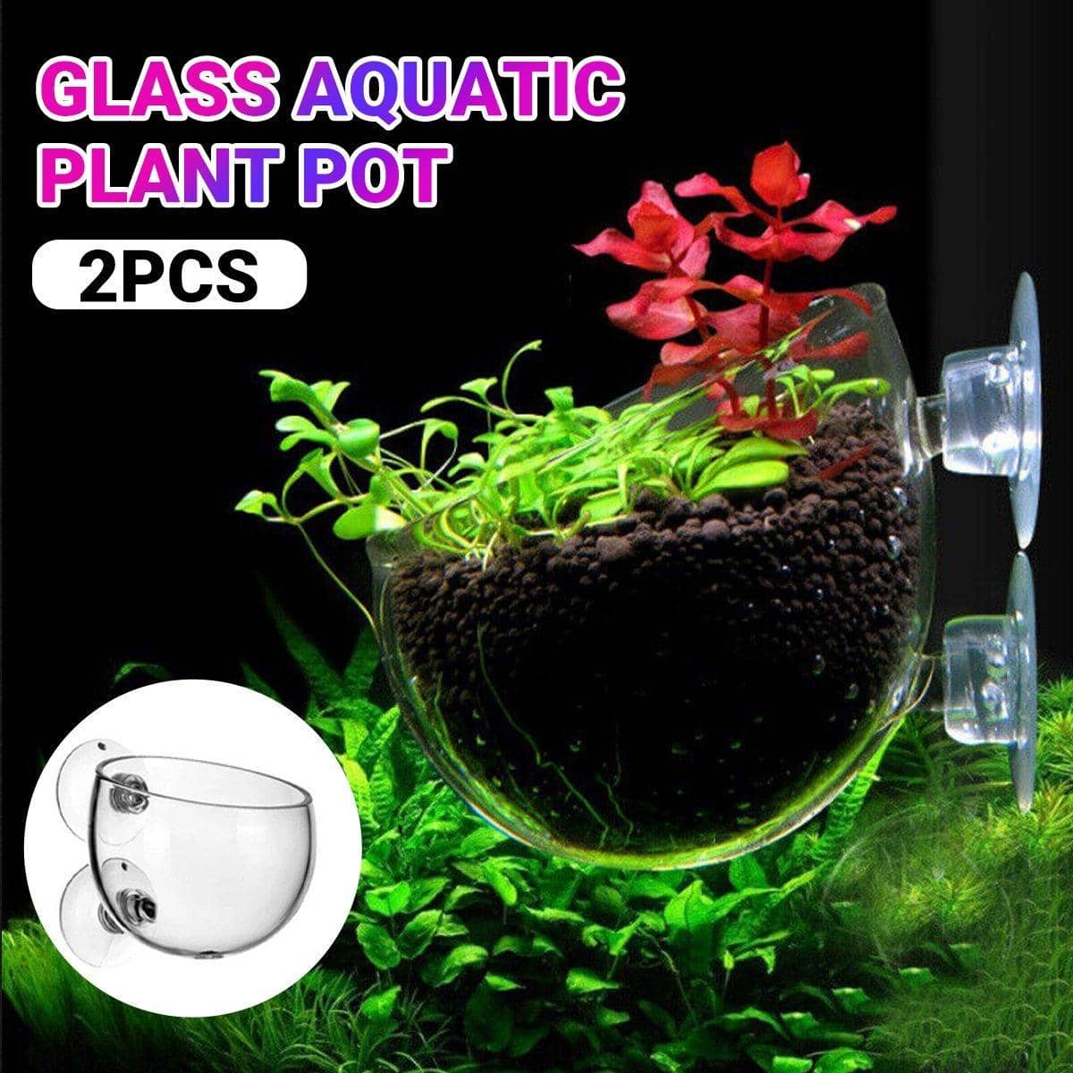 Glass Aquarium Plant Cup with Suction Cups for Breeding and Aquascaping, Set of 2