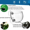 Glass Aquarium Plant Cup with Suction Cups for Breeding and Aquascaping, Set of 2 - view 4