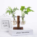 Glass Bulb Plant Vase with Wooden Stand - Two Bulbs, 10 x 13.5 cm - view 5