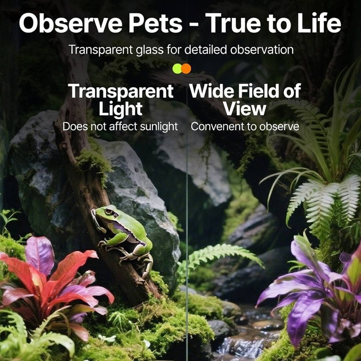 Glass Reptile Terrarium with Double Doors and Panoramic View - view 4