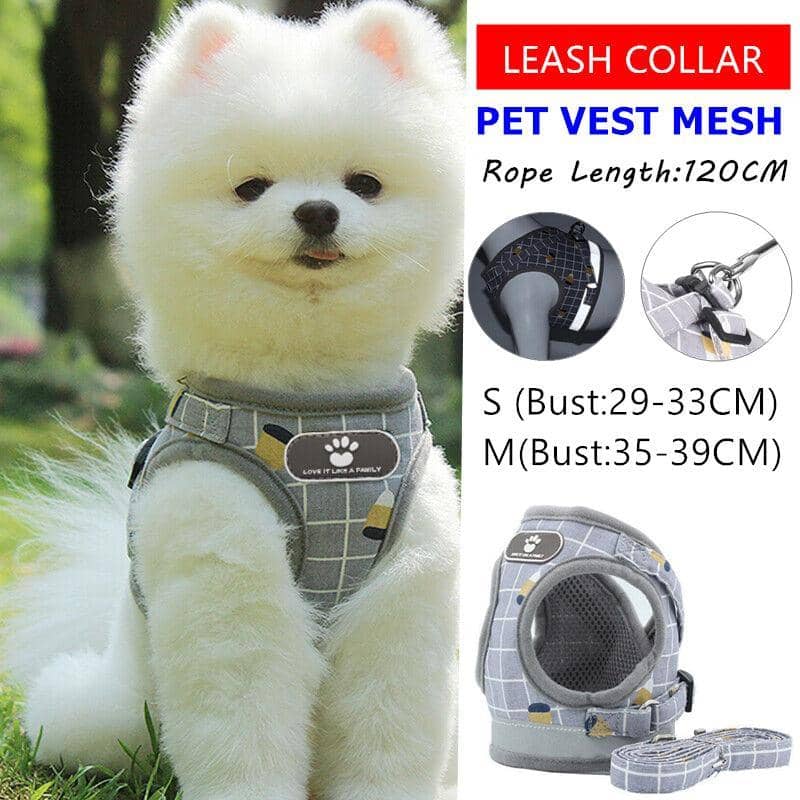 Grey Kitten and Small Dog Walking Harness with Lead, Mesh Vest - Small - view 2