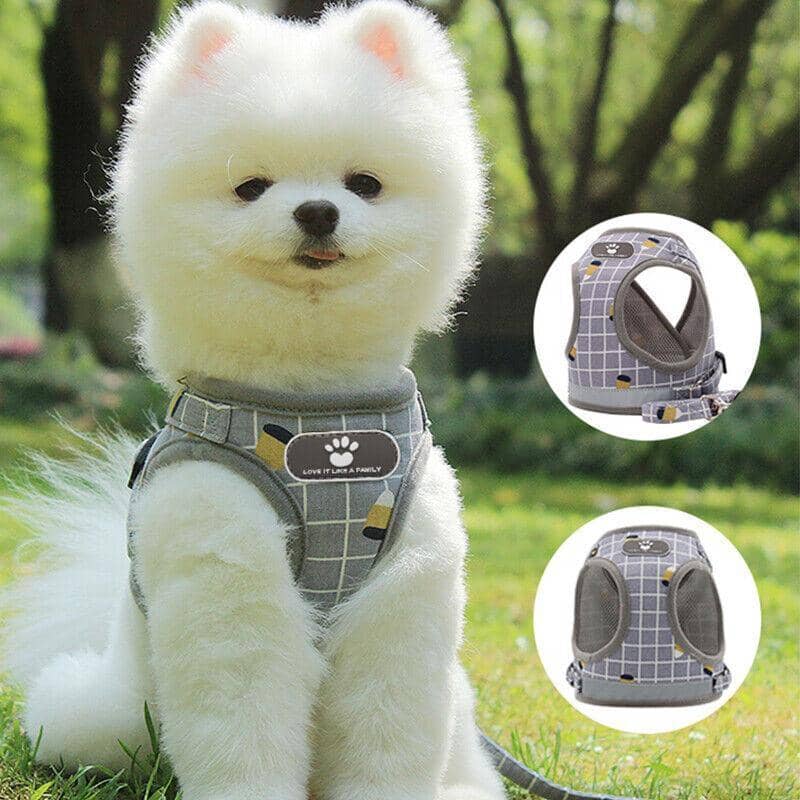 Grey Kitten and Small Dog Walking Harness with Lead, Mesh Vest - Small - view 4