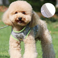Grey Kitten and Small Dog Walking Harness with Lead, Mesh Vest - Small - view 5