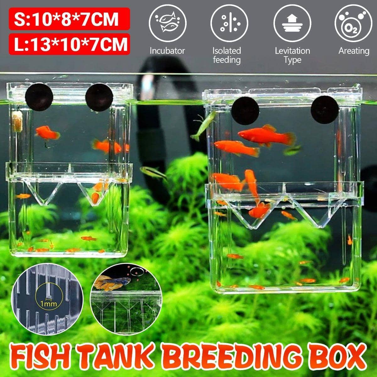 Guppy Breeding Isolation Box for Aquariums - Small (10 x 8 x 7 cm) - view 2