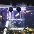 Guppy Breeding Isolation Box for Aquariums - Small (10 x 8 x 7 cm) - view 5