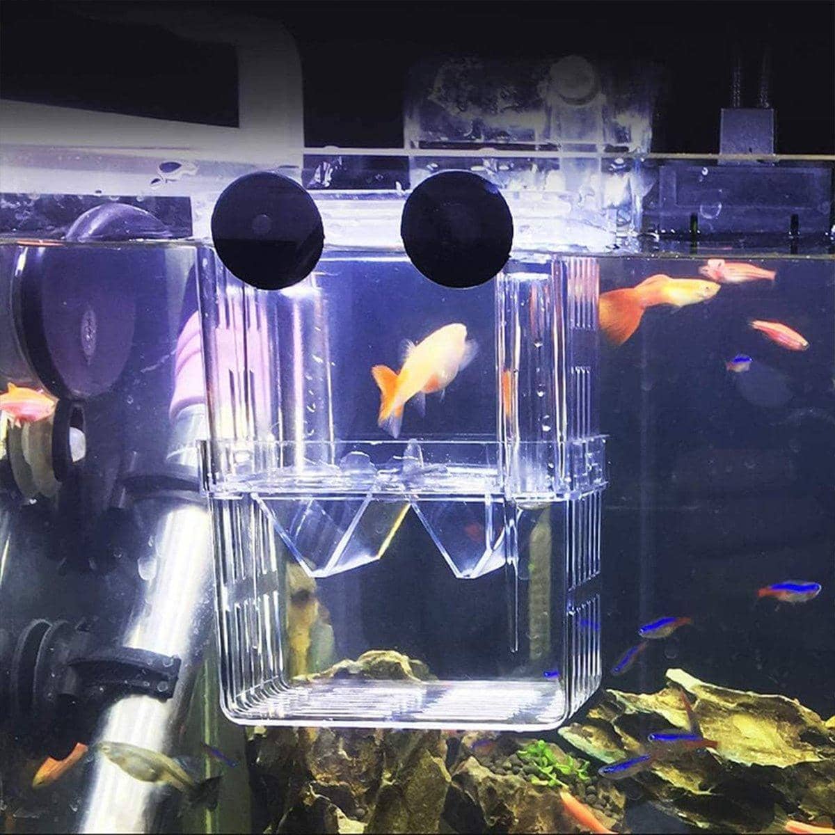Guppy Breeding Isolation Box for Aquariums - Small (10 x 8 x 7 cm) - view 5