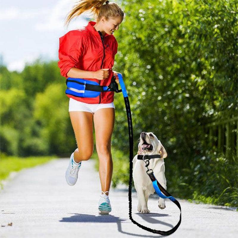 Hands Free Dog Leash with Adjustable Waist Belt Bag for Walking and Running - Black - view 5
