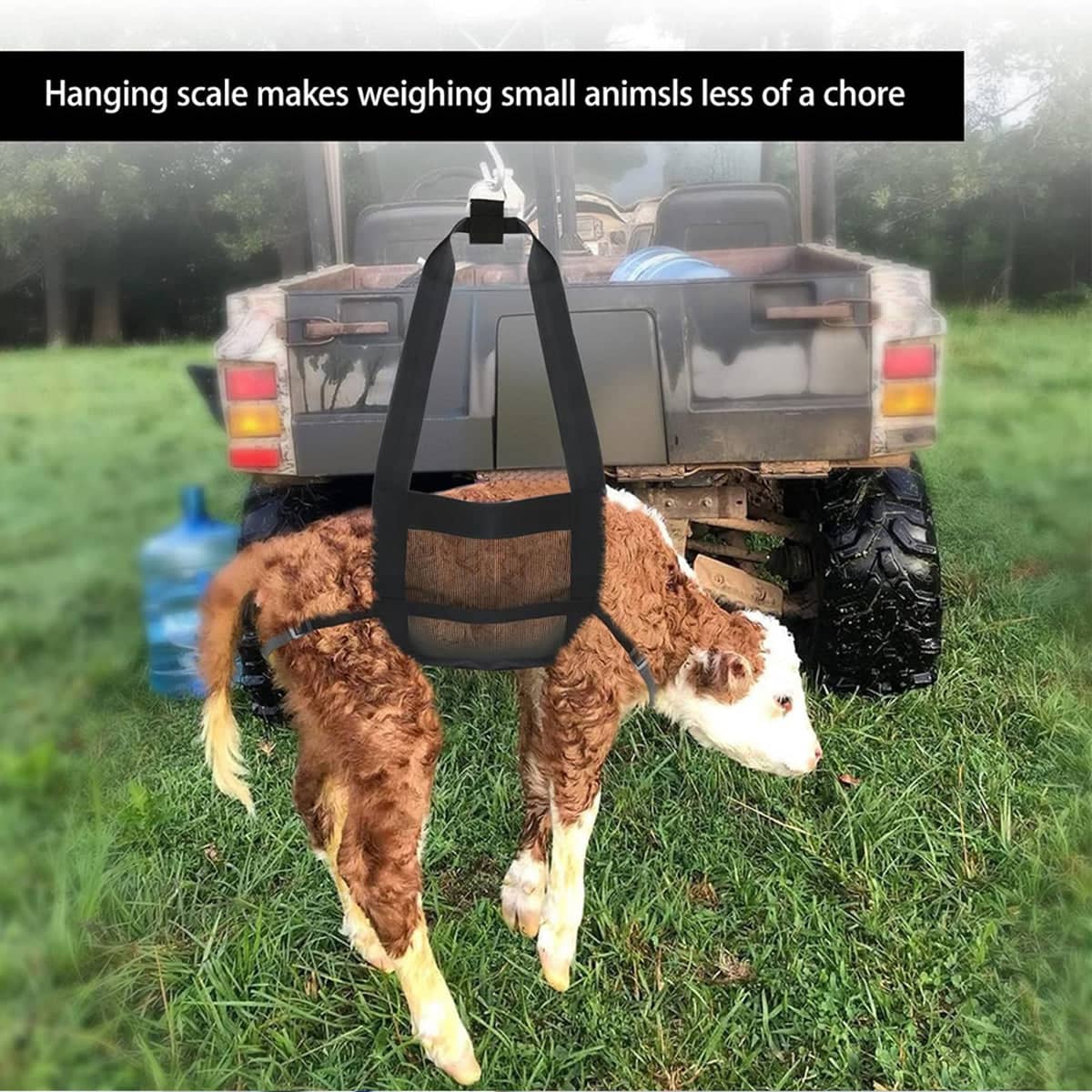Hanging Animal Weighing Sling for Pets and Livestock - view 5