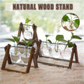 Hanging Glass Vase with Wood Stand for Hydroponic Plants - Size L, 3 Bottles (Tray 28 x 14 cm) - view 2