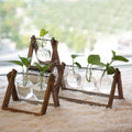 Hanging Glass Vase with Wood Stand for Hydroponic Plants - Size L, 3 Bottles (Tray 28 x 14 cm) - view 5