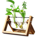 Hanging Glass Vase with Wood Stand for Hydroponic Plants - Size M, 2 Bottles (Tray 22 x 14 cm)