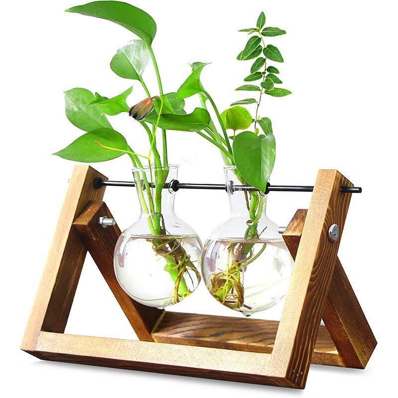 Hanging Glass Vase with Wood Stand for Hydroponic Plants - Size M, 2 Bottles (Tray 22 x 14 cm)