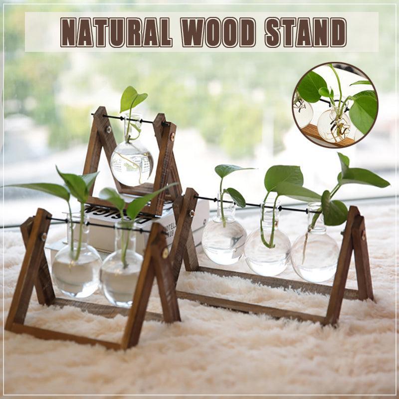 Hanging Glass Vase with Wood Stand for Hydroponic Plants - Size M, 2 Bottles (Tray 22 x 14 cm) - view 2